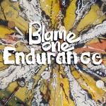 BLAME_ENDURANCE