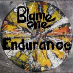 endurance_web_cover